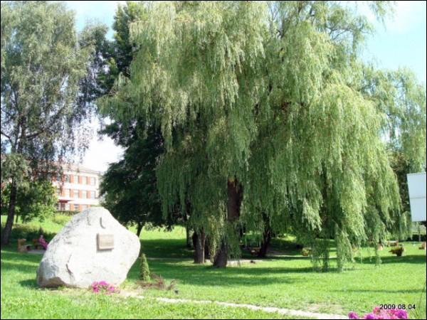 Aukštadvaris. Town streets 