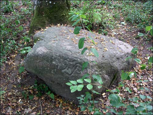  - Zespół dworsko-parkowy Czarnockich. W parku; kamienie z napisami