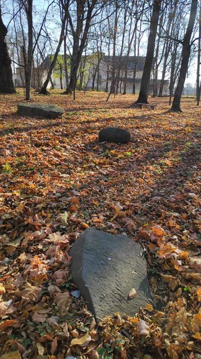  - Zespół dworsko-parkowy Czarnockich. W parku
