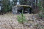 Arabaŭščyna.  Defensive Fortifications 