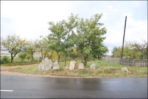 Potapowicze |   Kamieni. Przy drodze