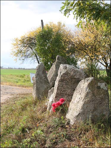 Potapowicze |   Kamieni. Kwiaty, jak w kapliczce