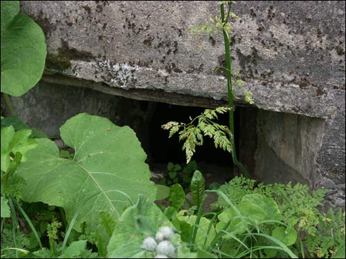  - Umocnienia obronne . Fragment
