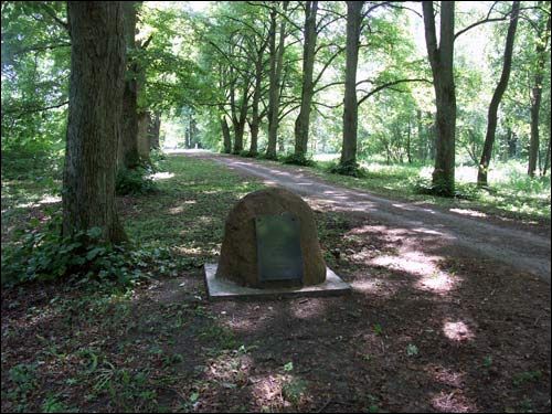 Repichava. Manor park of the Patocki former Manor-place