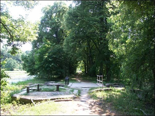 Repichava. Manor park of the Patocki former Manor-place