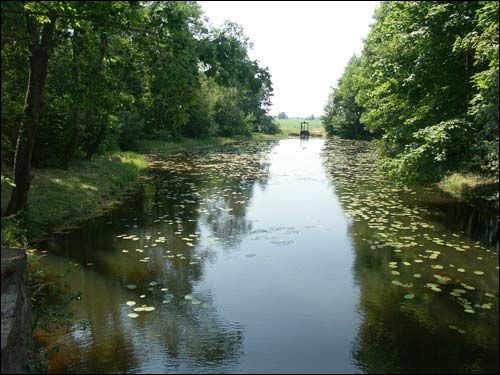 Repichava. Manor park of the Patocki former Manor-place