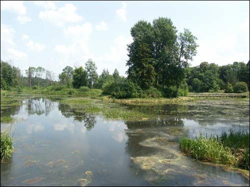 Repichava. Manor park of the Patocki former Manor-place