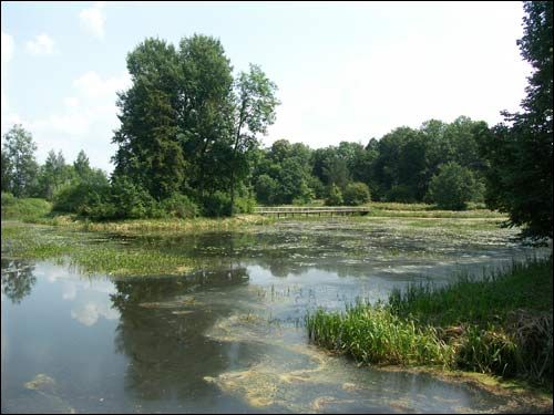 Repichava. Manor park of the Patocki former Manor-place