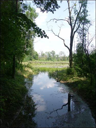 Repichava. Manor park of the Patocki former Manor-place