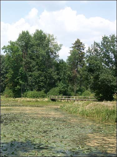 Repichava. Manor park of the Patocki former Manor-place