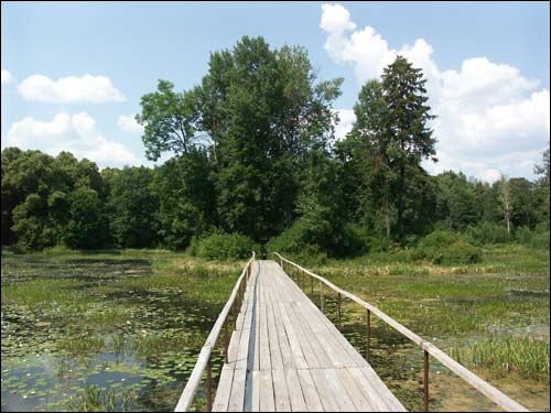 Repichava. Manor park of the Patocki former Manor-place