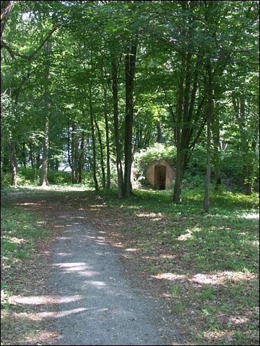 Repichava. Manor park of the Patocki former Manor-place