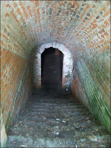 Repichava. Manor park of the Patocki former Manor-place