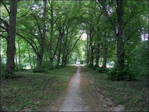 Repichava. Manor park of the Patocki former Manor-place