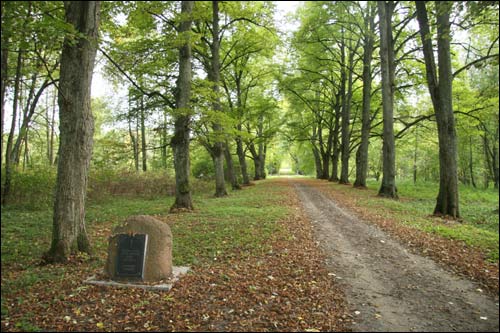 Repichava. Manor park of the Patocki former Manor-place
