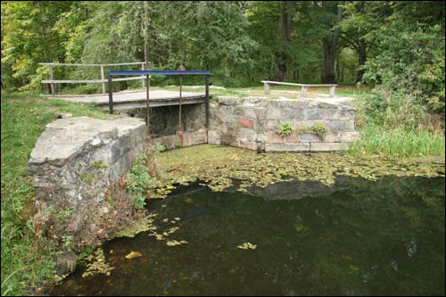 Repichava. Manor park of the Patocki former Manor-place