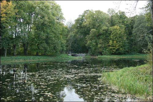 Repichava. Manor park of the Patocki former Manor-place
