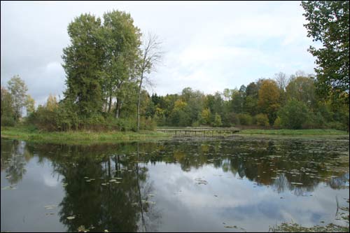 Repichava. Manor park of the Patocki former Manor-place