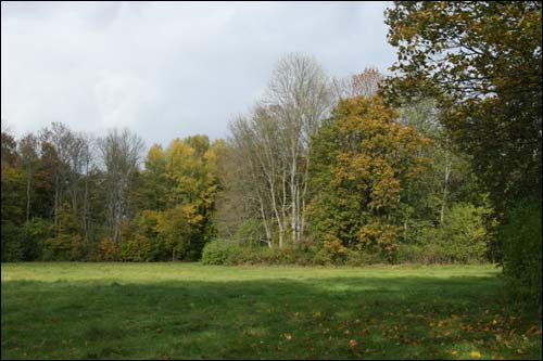 Repichava. Manor park of the Patocki former Manor-place