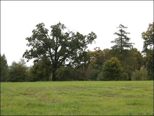  - Краявіды . Куток парку Чапскіх