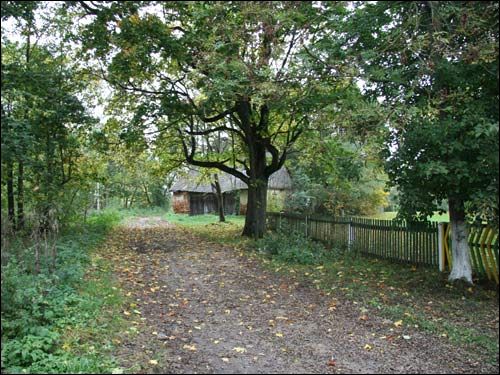  - Краявіды . Куток парку Чапскіх