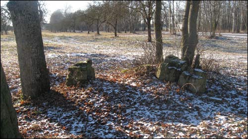 Рэшткі сядзібнай капліцы Сваятычы. Краявіды
