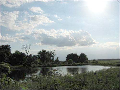 Сажалка Сваятычы. Краявіды