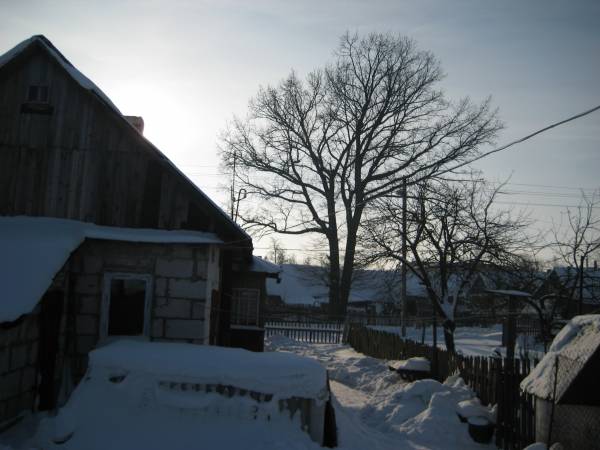 Сваятычы. Краявіды