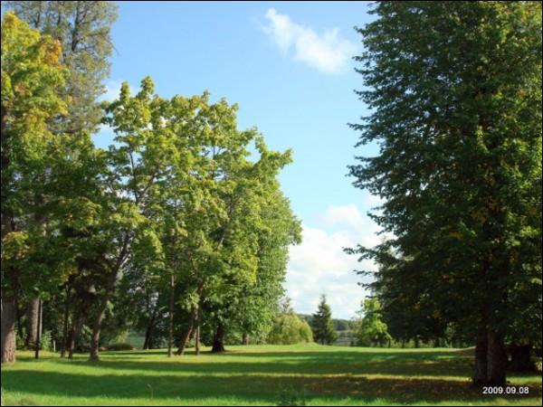  - Manor . 