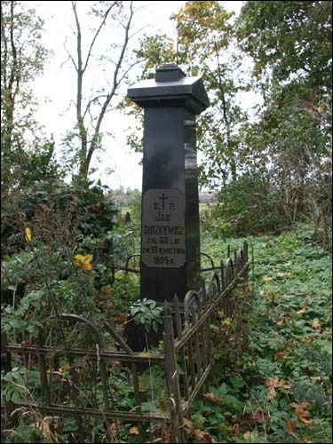 Своятичи. Кладбище старое католическое. Часовня