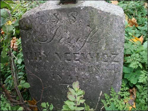 Своятичи. Кладбище старое католическое. Часовня