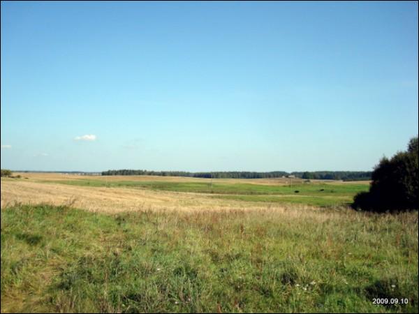  - Краявіды . 