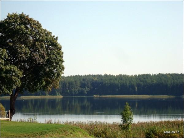  - Краявіды . 