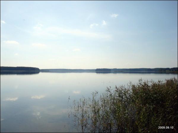  - Краявіды . 