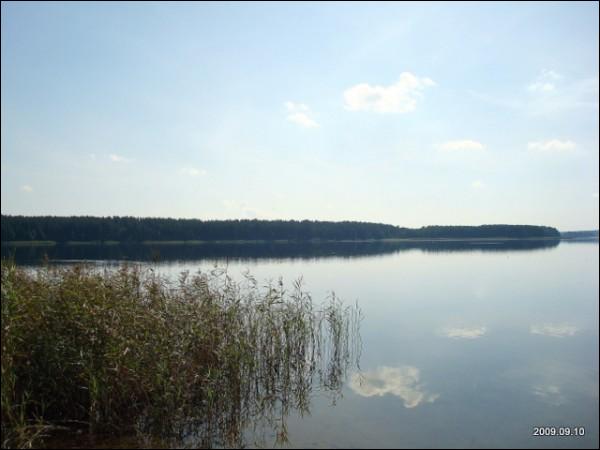  - Краявіды . 