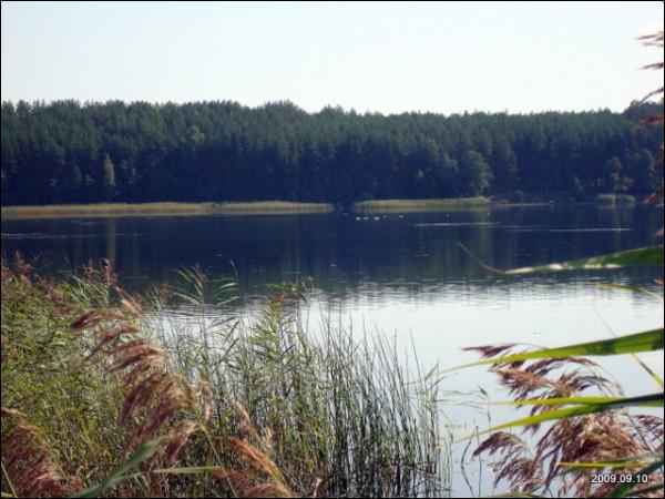  - Краявіды . 