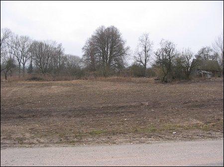 Место, где стоял усадебный дом. Фото 2008 г. Сынковичи. Фольварк Сынковичи II