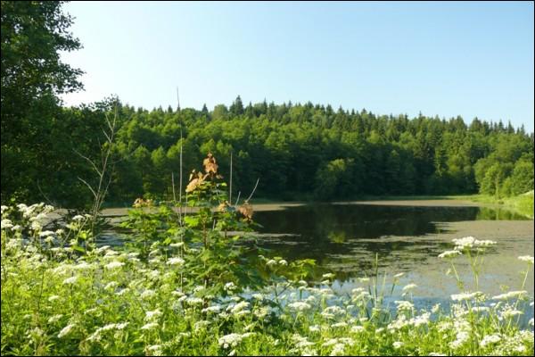 Traskoŭščyna. Water-mill 