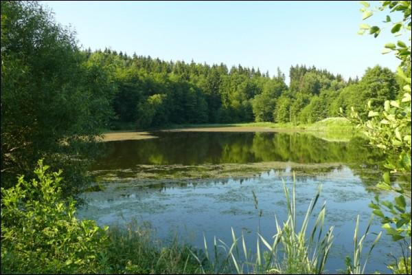 Traskoŭščyna. Water-mill 