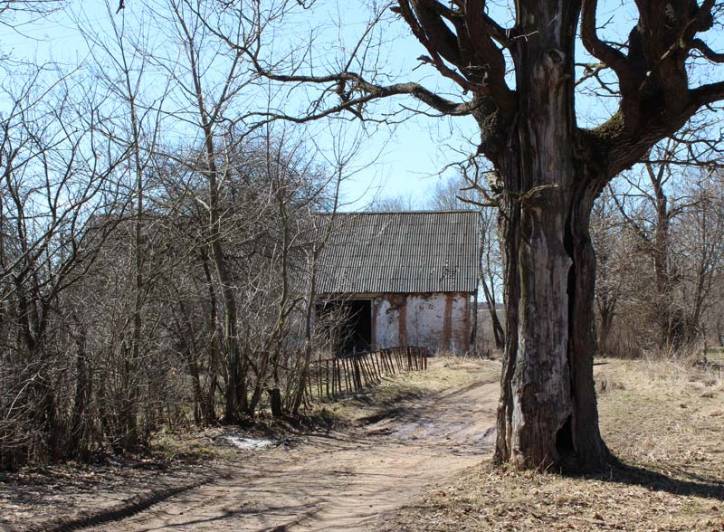 Dvor Plina. Farmstead 