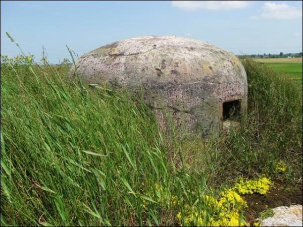 Ураджайная (Вошкаўцы). Абарончыя ўмацаванні 
