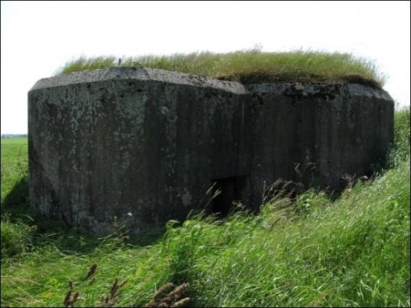 Ураджайная (Вошкаўцы). Абарончыя ўмацаванні 