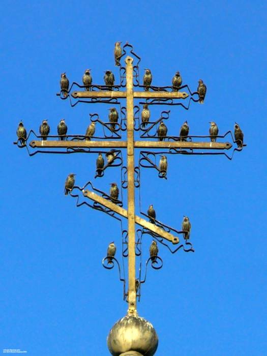 Orthodox church of St. Peter and St. Paul .   - Orthodox church of St. Peter and St. Paul.