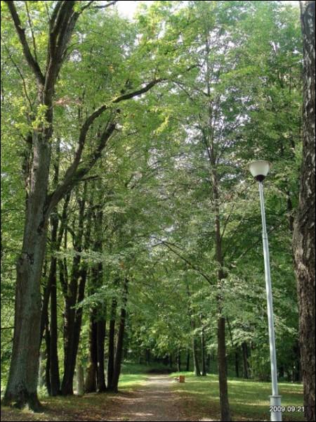 Markucie. Zespół dworsko-parkowy Puszkinych