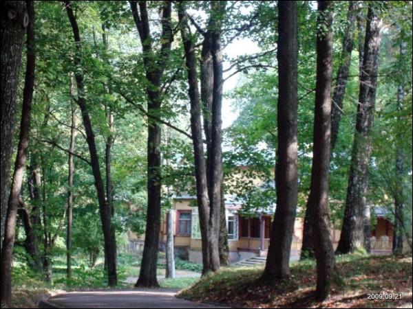 Markucie. Zespół dworsko-parkowy Puszkinych