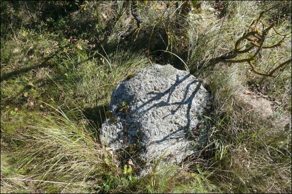 Małaja Łapienica. cemetery Old Jewish