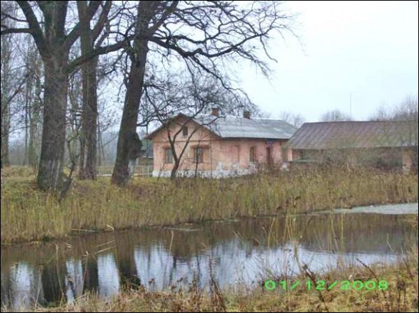  | . Двухсотгадовыя дубы на беразе сажалкі