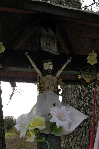 Пашкоўшчына. Прысядзібны парк 