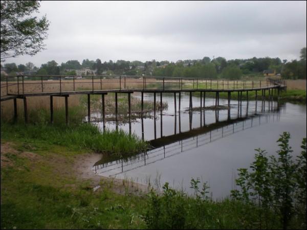  - Краявіды . 