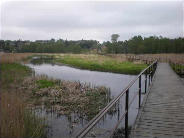  - Краявіды . 